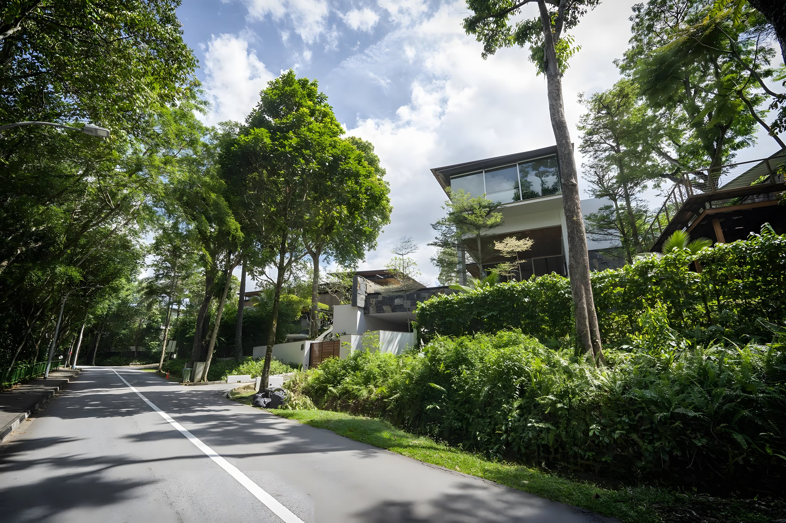 A quiet road in the estate beneath a canopy of mature trees, contemporary houses set back behind hedges.